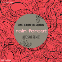 Daniel Benjamin aka Giulyiano - Rain Forest