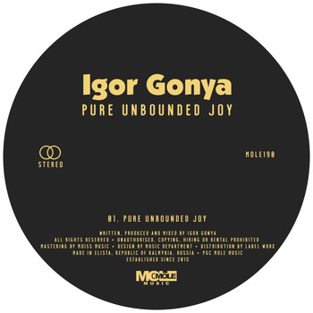 Igor Gonya - Pure Unbounded Joy
