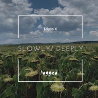 Tripio X - Slowly /Deeply
