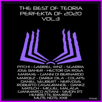 Various Artists - THE BEST OF TEORIA PERFEKTA OF 2020 VOL.3