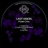 Last Vision - Purple Crow