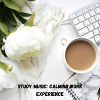 Brain Timbre, Focus, Study Music & Sounds - Study Music: Calming Work Experience