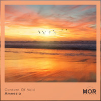 Content of Void - Amnesia