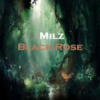 Milz - Black Rose