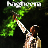 Bagheera - Hazi 2