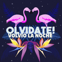 Olvidate! - Volvió la Noche