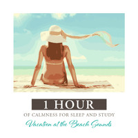 Relaxing Water Sounds - Vacation at the Beach Sounds: 1 Hour of Calmness for Sleep and Study