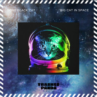 Some Black Cat - BIG CAT IN SPACE!
