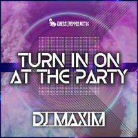 DJ Maxim - Turn In On At The Party (Radio Edit)
