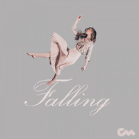 Traveller - Falling