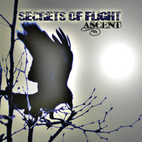 Ascent - Secrets of Flight