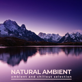 Various Artists - Natural Ambient (Ambient and Chillout Selection)