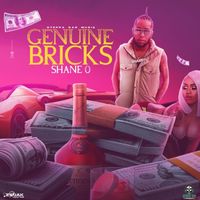 Shane O - Genuine Bricks