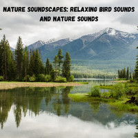 Nature Sounds Nature Music, Sounds of Nature Noise, The Outdoor Library - Nature Soundscapes: Relaxing Bird Sounds and Nature Sounds