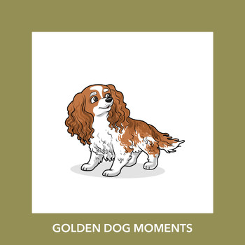 Puppy Relaxation - Golden Dog Moments