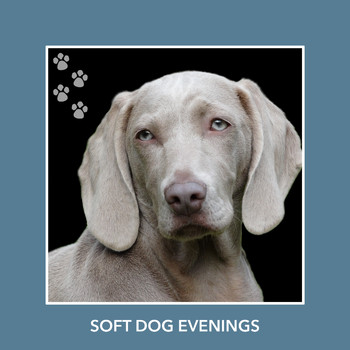 Calm My Dog - Soft Dog Evenings