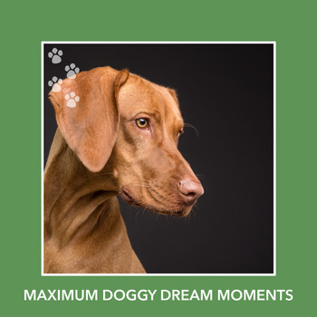 Calm My Dog - Maximum Doggy Dream Moments