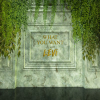 Levi - What You Want (Explicit)