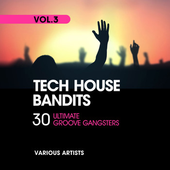 Various Artists - Tech House Bandits (30 Ultimate Groove Gangsters), Vol. 3