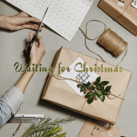 Best Christmas Songs, Christmas Hits, Christmas Songs & Christmas, Christmas Songs - Waiting for Christmas