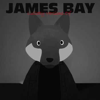 The Cat and Owl - Lullaby Versions of James Bay