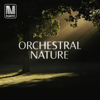 Sascha Blank - Orchestral Nature