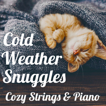 Royal Philharmonic Orchestra - Cold Weather Snuggles: Cozy Strings & Piano