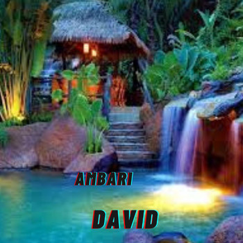 David - Ambari