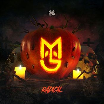 Macky Gee - Radical