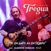 Tregua - Como un Gato en un Tejado (En Directo)