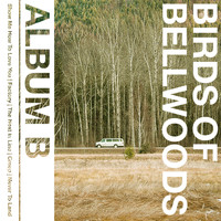 Birds of Bellwoods - Album B (Explicit)