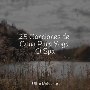 Meditação Clube, Naturaleza, Sonidos De Lluvia y Tormentas - 25 Canciones de Cuna Para Yoga O Spa