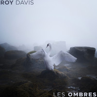 Roy Davis - Les Ombres