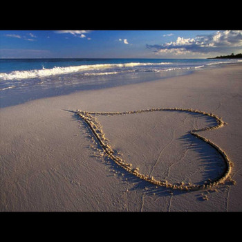 Steve Wright - Love in the Sand (Explicit)