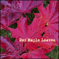 Knut - Red Maple Leaves