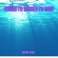 Wayne Perry - Things I'd Wish I'd Done