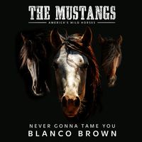 Blanco Brown - Never Gonna Tame You (Original Song from "The Mustangs: America's Wild Horses")