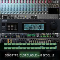 Just Jungle & Genotype - G Skool Vol 12