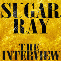 Sugar Ray - The Interview