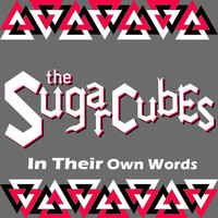 The Sugarcubes - In Their Own Words