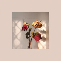 paiva. - wilted roses