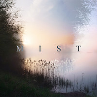 TFM - Mist