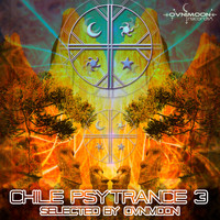 Ovnimoon - Chile Psytrance 3