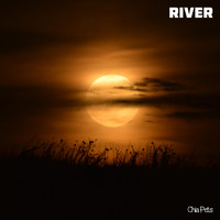 Chia Pets - River