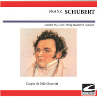 Caspar da Salo Quartett - Franz Schubert - Quintet "The Trout" - String Quartet in A minor