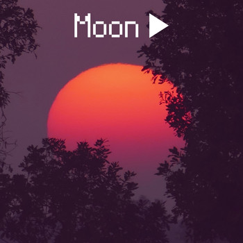 Various Artists - Moon
