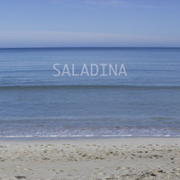 Donallop - Saladina