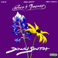 Wale - Down South (feat. Yella Beezy & Maxo Kream) (Chopped & Skrewed [Explicit])