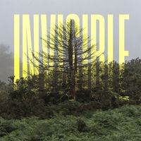 Ólafur Arnalds - The Invisible EP