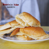 Mountain Bike - Sandwich